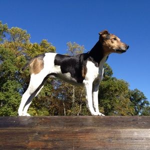 Meet your Posher, Becky